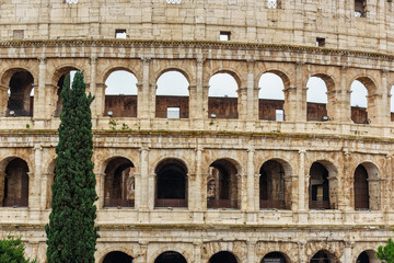 Fototapeta na wymiar Colosseum or Flavian Amphitheatre in Rome. Italy