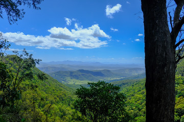 Hinterland, Bushland, Australien, 2019