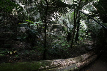 Fototapeta premium Nature in Uthai Thani, Thailand