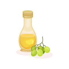 Glass bottle of grape seed oil and branch with green berries. Natural product. Cooking ingredient. Flat vector icon
