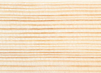 Wood texture close-up, abstract natural background