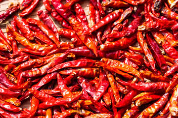 Red chili, the whole spicy herb is on selective focus.