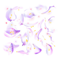 Vector set of blue falling rose and sakura petals. Blurred spring blossom petal set with decorative elements, stamen. Sakura petal set, blossom rose petals objects, petal element set with blured