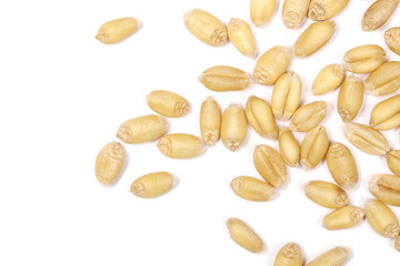 Wheat grains isolated on white background, macro top view