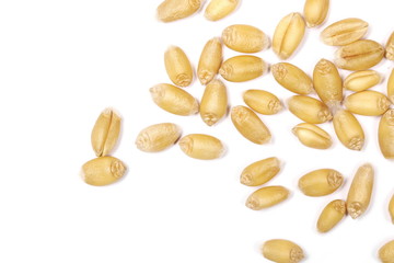 Wheat grains isolated on white background, macro top view