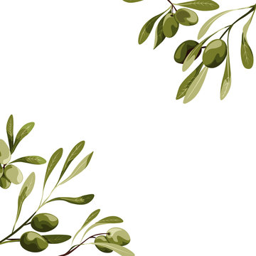 Vector corners with olive tree decoration. Vegan food illustration