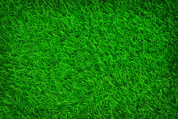 Top view of artificial green grass texture background.