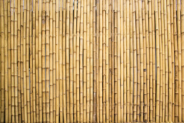 Bamboo Pattern Wall. Bamboo Background