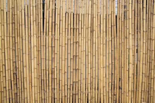 Bamboo Pattern Wall. Bamboo Background