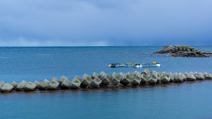 「松島」の海は透明度も抜群で、磯遊びに最適な場所です。