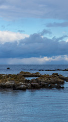「松島」の海は透明度も抜群で、磯遊びに最適な場所です。