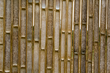 Bamboo Pattern Wall