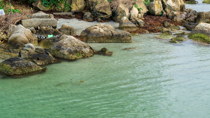 「松島」の海は透明度も抜群で、磯遊びに最適な場所です。