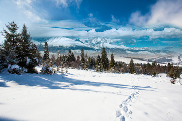 Carpathian mountains in winter, sunny frosty day