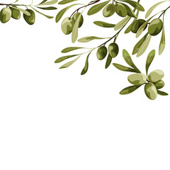 Vector background with olive tree decoration. Vegan food illustration