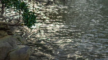 「松島」の海は透明度も抜群で、磯遊びに最適な場所です。