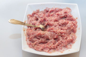 Raw minced meat prepared for modeling dumplings in a white plate