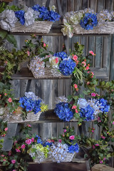 Fototapeta na wymiar white and blue flowers in wicker baskets