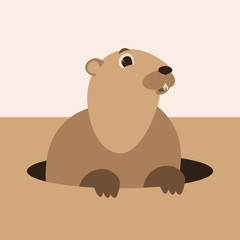 cartoon groundhog, vector illustration,  flat style, front 