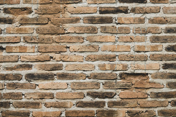 Brick wall texture 