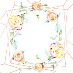 Fototapeta na wymiar Orange rose. Floral botanical flower. Frame border ornament square.