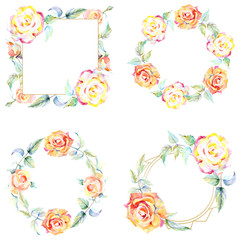 Orange rose. Floral botanical flower. Frame border ornament square.