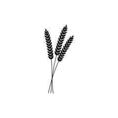 vector illustration of wheat, rye or barley ears with whole grain, black silhouette wheat, rye or barley crop harvest symbol or icon isolated on white background.