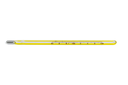 The rectal thermometer on the white background