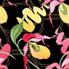 Cypredium calceolus. Floral botanical flower. Watercolor background illustration set. Seamless background pattern.