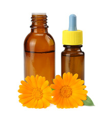 bottle with marigold oil with marigold flowers isolated on white background. calendula flower.