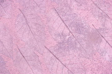 Blurred for Background.Pink cement floor with pattern surface made of leaves.