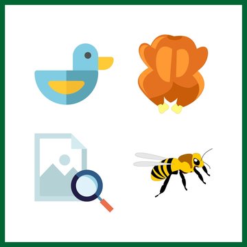 4 wing icon. Vector illustration wing set. image and bee icons for wing works