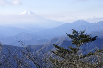 Obraz premium 三頭山から望む富士山