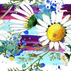 Chamomile floral botanical flower. Watercolor background illustration set. Seamless background pattern.