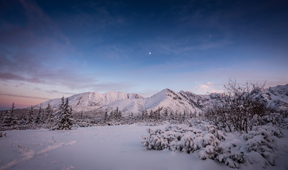 Colorful winter evening in the mountains. View of  the snow-capped peaks with trees. Tatra mountian, Poland