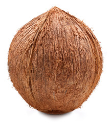 Coconut isolated Clipping Path