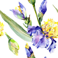 Purple yellow iris. Floral botanical flower. Wild spring leaf wildflower isolated. Watercolor background illustration set. Watercolour drawing fashion aquarelle isolated.