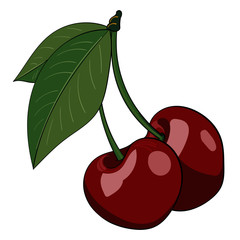 Cherries
