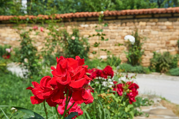 Traveling in Beautiful and undiscovered Architectural reserve village Arbanasi near Veliko Tarnovo