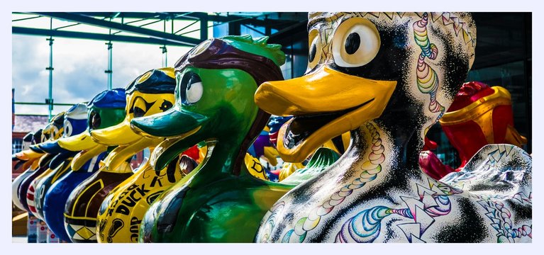 Liverpool Colourful Duck Statues