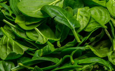 Baby Spinach