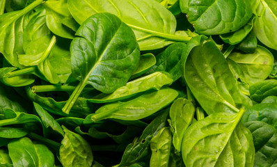 Baby Spinach