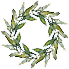 Black olives watercolor background illustration set. Watercolour drawing aquarelle green leaf. Frame border square.