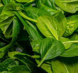 Baby Spinach