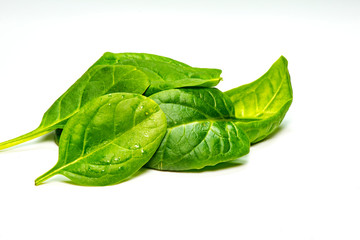 Spinach on white