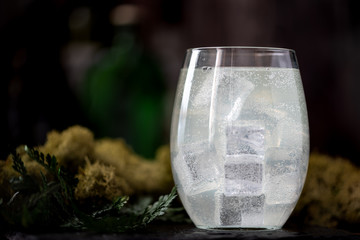 Gin and tonic cocktail