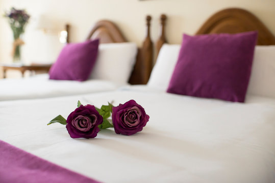 recibir en un hotel a la gente con cata de vinoteca y rosas en las habitaciones