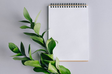 Notepad with a green branch with leaves on a gray background.