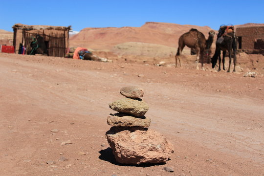 stones in front of camels