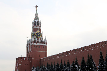 Moscow Kremlin in winter. Spasskaya tower and snow covered fir trees on Red Square